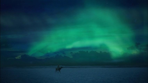 The Sleeping Beauty 46