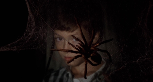 The Spider Labyrinth 02