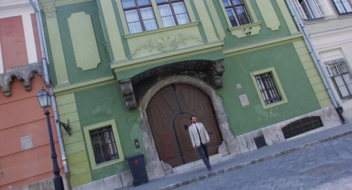 The Spider Labyrinth 11