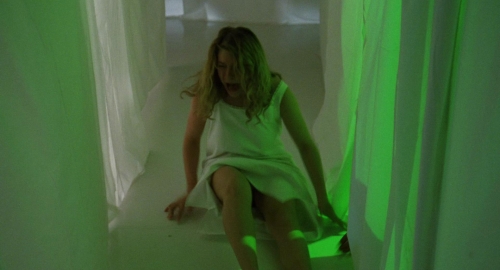 The Spider Labyrinth 29