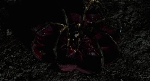 The Spider Labyrinth 46