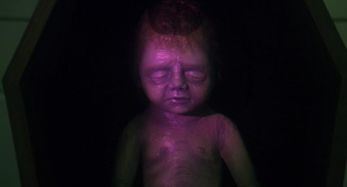 The Spider Labyrinth 58