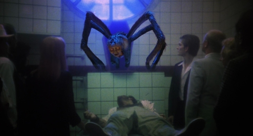 The Spider Labyrinth 61