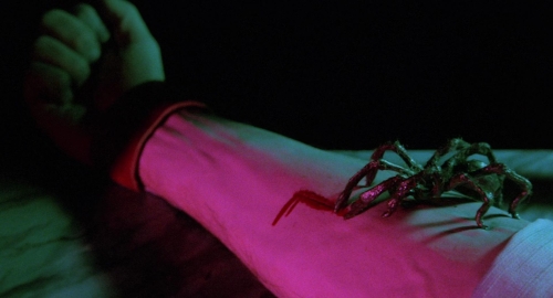 The Spider Labyrinth 63