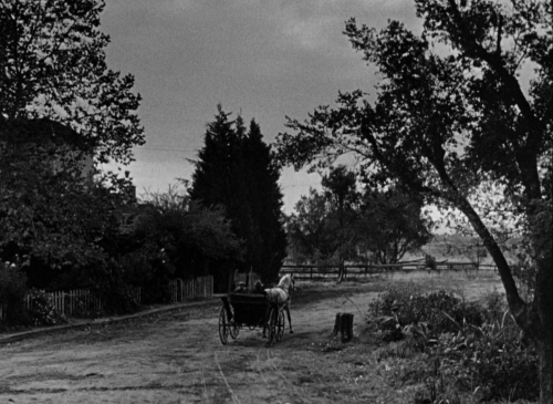 The Spiral Starcase 06