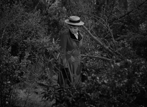 The Spiral Starcase 09