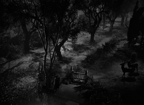 The Spiral Starcase 13