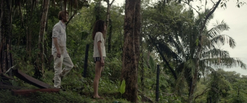 The Stars at Noon 41