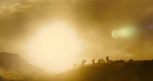 The Suicide Squad 14