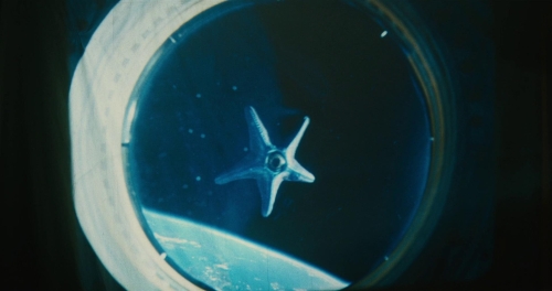 The Suicide Squad 16