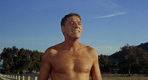 The Swimmer 16