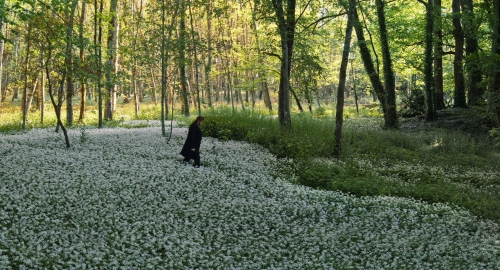 The Taste of Things 44