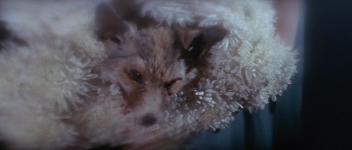 The Tomb of Ligeia 35