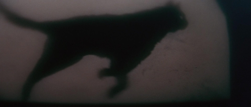 The Tomb of Ligeia 38