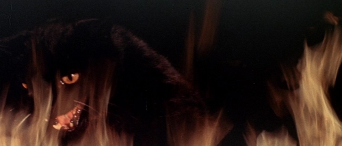 The Tomb of Ligeia 57