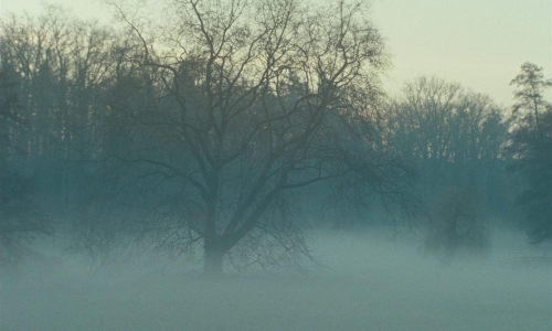 The Ugly Stepsister 29