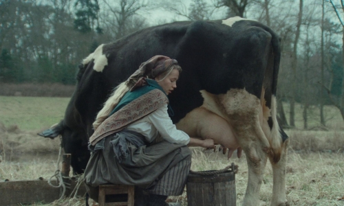 The Ugly Stepsister 31