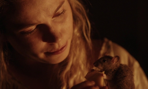 The Ugly Stepsister 48