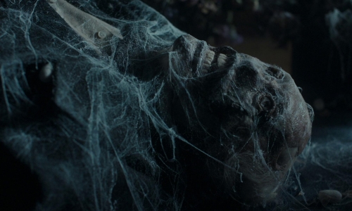 The Ugly Stepsister 65