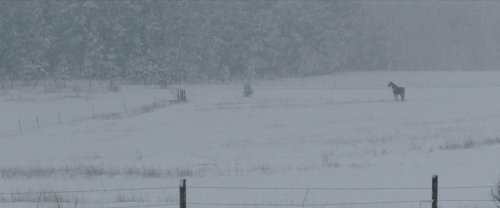 The Unknown Country 02