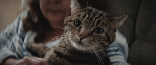 The Unknown Country 05