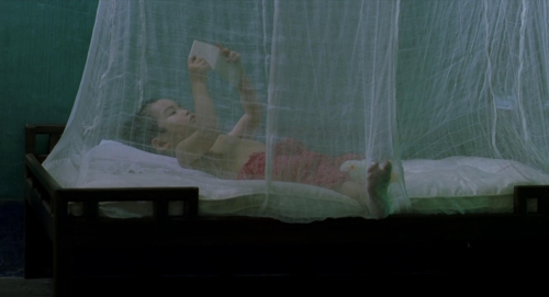 The Vertical Ray of the Sun 26