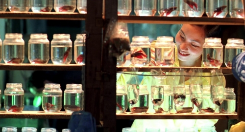 The Vertical Ray of the Sun 31