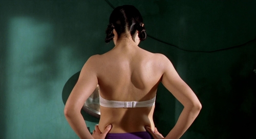 The Vertical Ray of the Sun 41