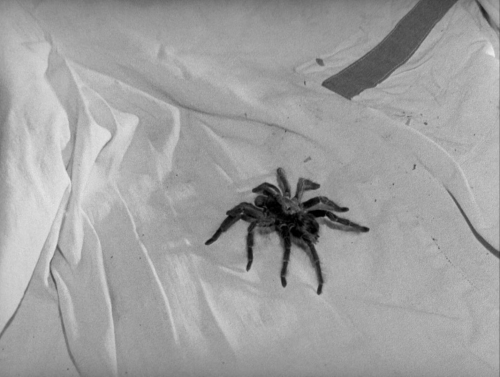 The Wages of Fear 14