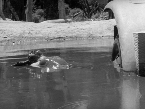 The Wages of Fear 53