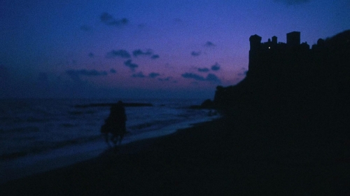 The Whip  The Body 01