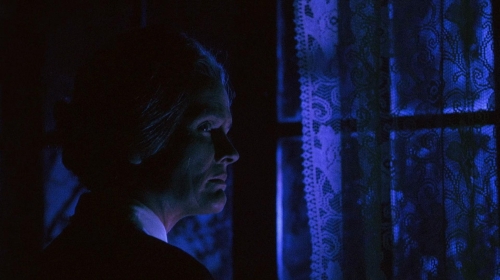 The Whip  The Body 03