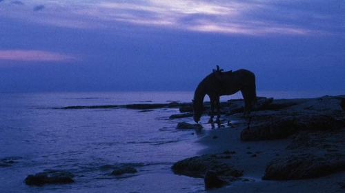 The Whip  The Body 17