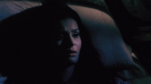 The Whip  The Body 30