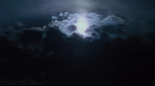 The Whip  The Body 33