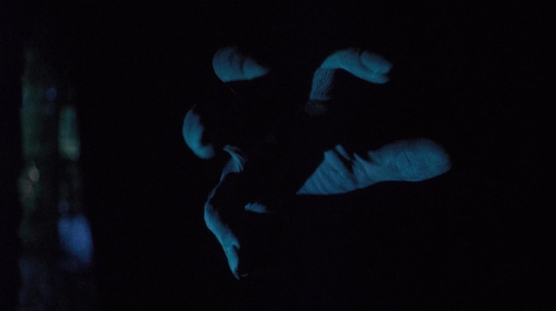 The Whip  The Body 36