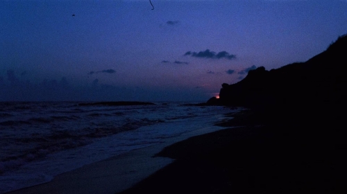 The Whip  The Body 37