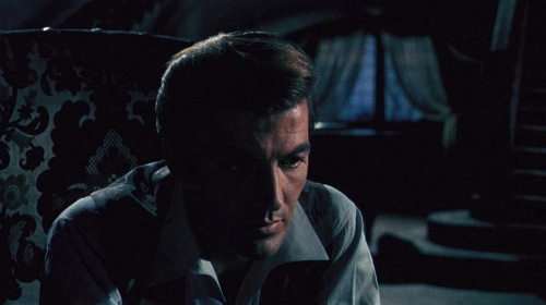 The Whip  The Body 50