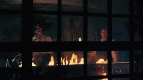 The Whip  The Body 56