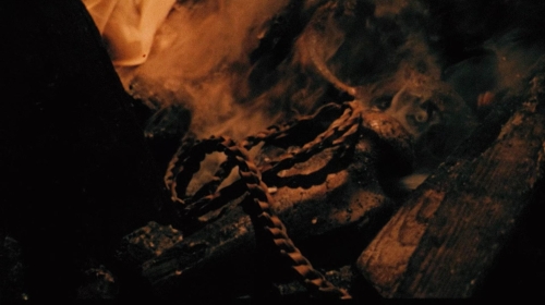 The Whip  The Body 65