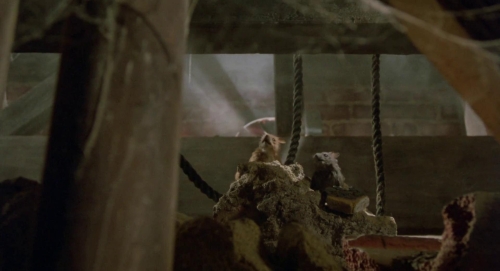 The Witches 37