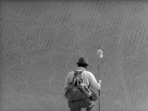 The Woman in the Dunes 03