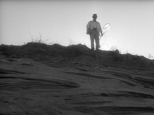 The Woman in the Dunes 08