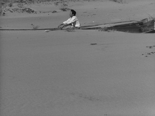 The Woman in the Dunes 11