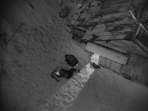 The Woman in the Dunes 57
