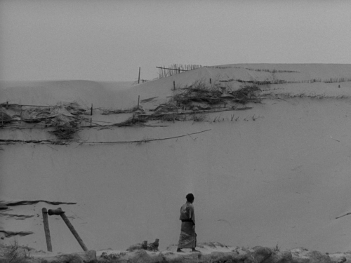 The Woman in the Dunes 61