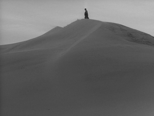 The Woman in the Dunes 63
