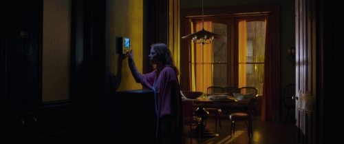 The Woman in the Window 09