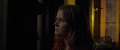 The Woman in the Window 10