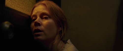 The Woman in the Window 13